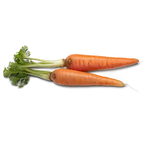 Organic Carrot PNG Avd28 PNG