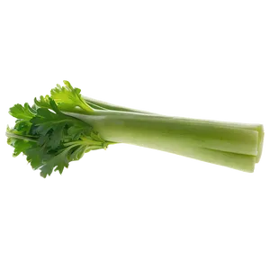 Organic Celery Stick Png 06252024 PNG Image