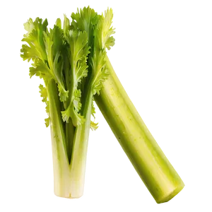 Organic Celery Stick Png 66 PNG Image