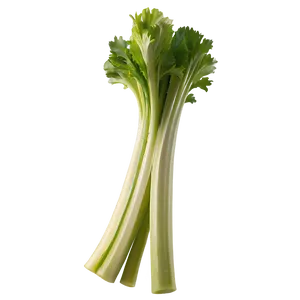 Organic Celery Stick Png 78 PNG Image