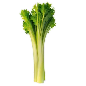 Organic Celery Stick Png 84 PNG Image