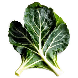 Organic Collard Greens Png 06252024 PNG Image