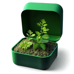 Organic Green Box Concept Png Qym PNG Image