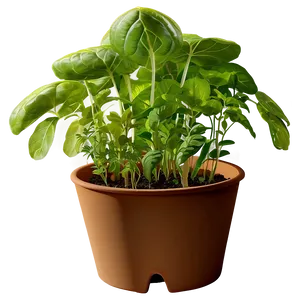 Organic Herb Garden Png 06272024 PNG Image