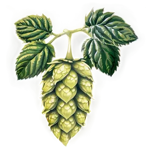 Organic Hops Farm Png 06292024 PNG Image