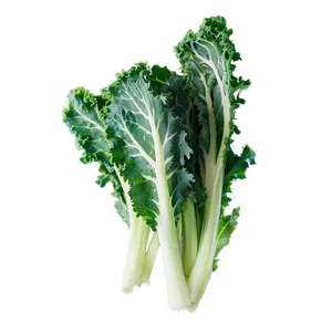 Organic Kale Leaves Bundle PNG Eai17 PNG