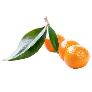 Organic Kumquat Png Dvv38 PNG Image