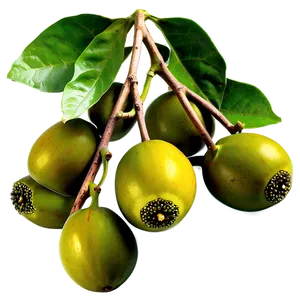 Organic Passion Fruit Harvest Png Pom PNG Image