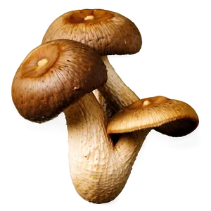 Organic Shiitake Mushroom PNG Uge PNG