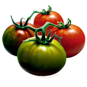 Organic Tomato Plant Png 06212024 PNG Image