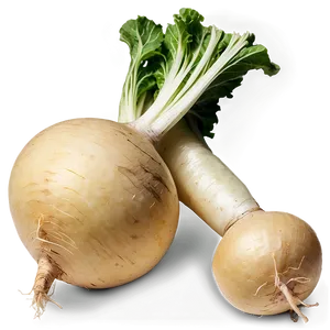 Organic Turnip Png 12 PNG Image