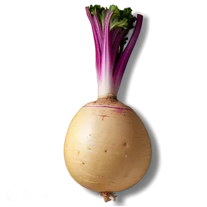 Organic Turnip Png 78 PNG Image