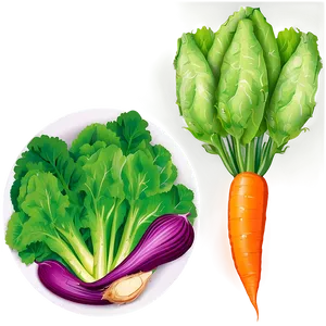 Organic Vegetable Collection Png 06202024 PNG Image