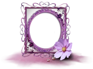 Ornate Frameand Cosmos Flower PNG Image