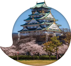 Osaka Castle Cherry Blossoms PNG Image