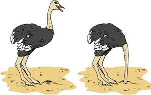 Ostricheson Sand Illustration PNG Image