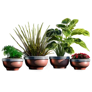 Outdoor Garden Potted Plants Png 06122024 PNG Image