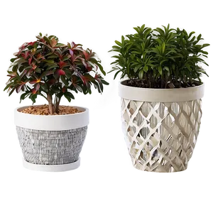 Outdoor Garden Potted Plants Png Nbt PNG Image