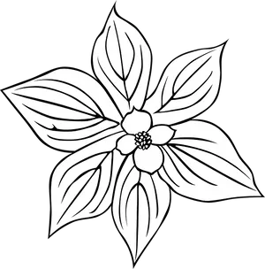 Outlined Floral Design PNG Image