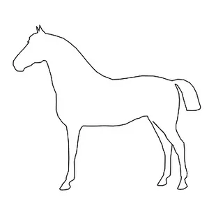 Outlineof Standing Horse PNG Image