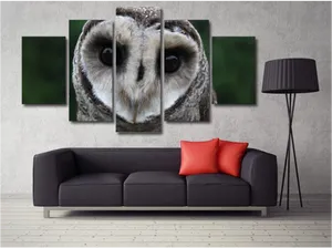 Owl Eyes Wall Art Split Canvas PNG Image