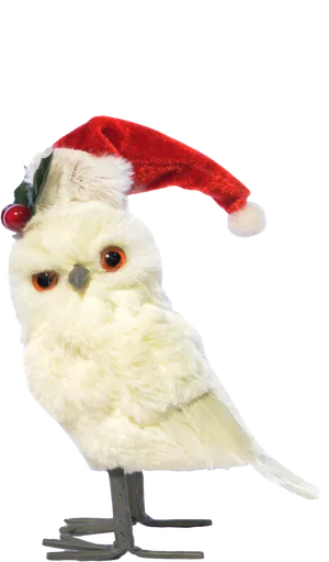 Owlin Santa Hat PNG Image