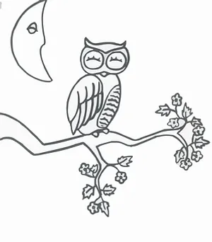 Owlon Branch Line Art PNG Image