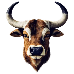 Ox Head Illustration Png 24 PNG Image