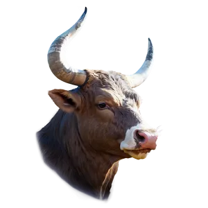 Ox Head Illustration Png 25 PNG Image