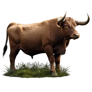 Ox In Nature Scene Png Qtg69 PNG Image