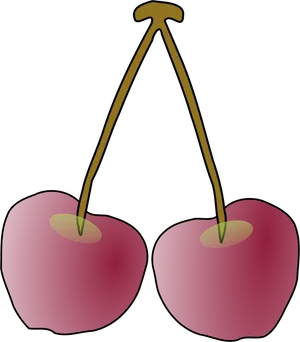 Pairof Cherries Illustration PNG Image