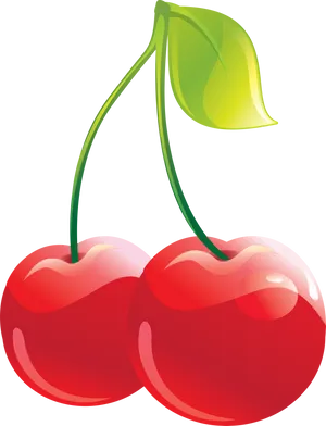 Pairof Cherries Vector Illustration PNG Image