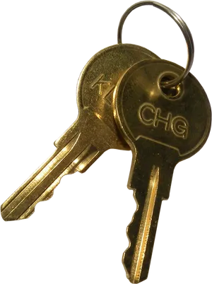 Pairof Golden Keyson Ring PNG Image