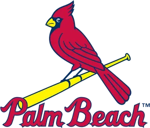 Palm Beach Cardinals Logo PNG Image