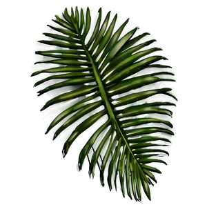 Palm Leaves Silhouette Png Utl82 PNG Image