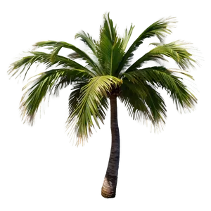 Palmera Wind Dance Png Kin94 PNG Image