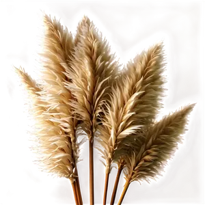 Pampas Grass Bouquet Png 06122024 PNG Image