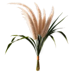 Pampas Grass Bouquet Png 71 PNG Image