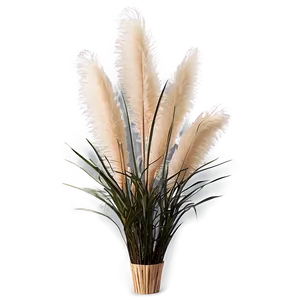 Pampas Grass Decoration Png Uer29 PNG Image