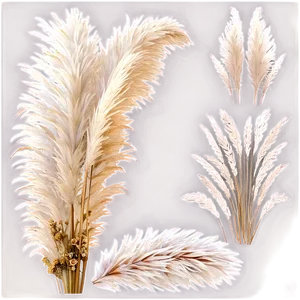 Pampas Grass Wedding Decor Png 53 PNG Image