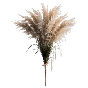 Pampas Grass Wedding Decor Png Dem17 PNG Image