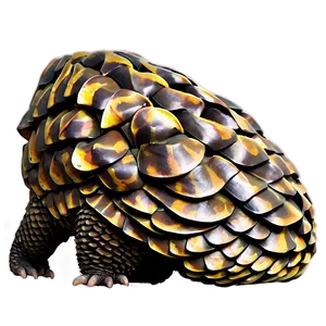 Pangolin C PNG Image