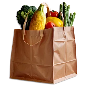 Paper Grocery Bag Png 98 PNG Image