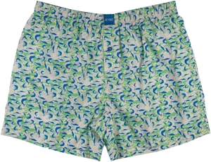 Patterned Boxer Shorts PNG Image