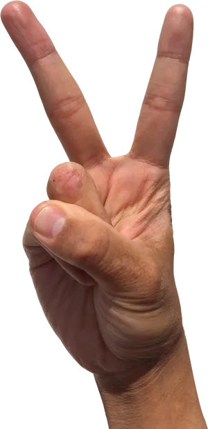 Peace Sign Hand Gesture PNG Image