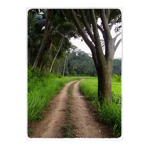 Peaceful Countryside Trail PNG 7 PNG
