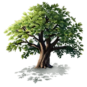 Peaceful Tree Shadow Png Dos50 PNG Image