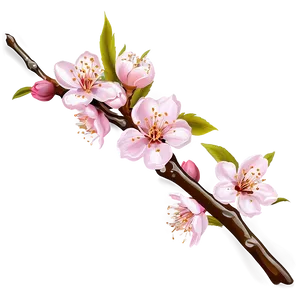 Peach Blossom Png 74 PNG Image