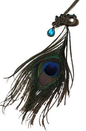 Peacock Feather Pendant Jewelry PNG Image