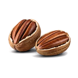 Pecan Nut Png Cnh PNG Image